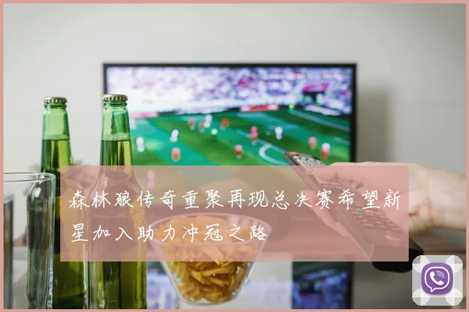 森林狼传奇重聚再现总决赛希望新星加入助力冲冠之路