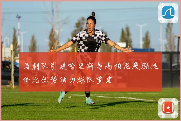 马刺队引进哈里斯与尚帕尼展现性价比优势助力球队重建